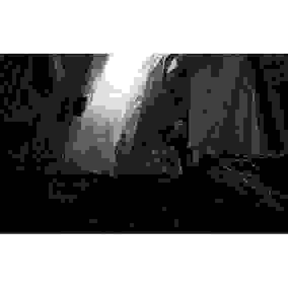 Dishonored: Death of the Outsider