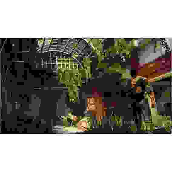 Одни из нас. Обновлённая версия