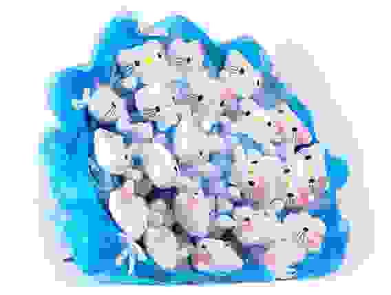 Букет из игрушек Toy Bouquet "Котята", цвет: голубой, 21 игрушка