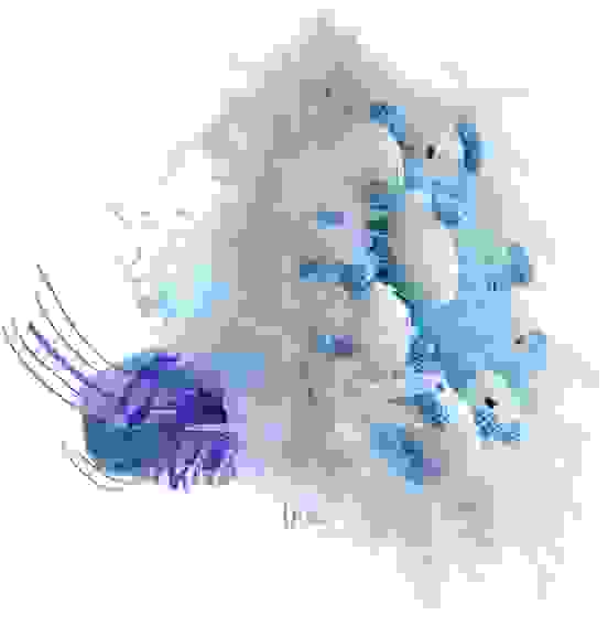 Букет из игрушек Toy Bouquet "Котята", цвет: голубой, 9 игрушек