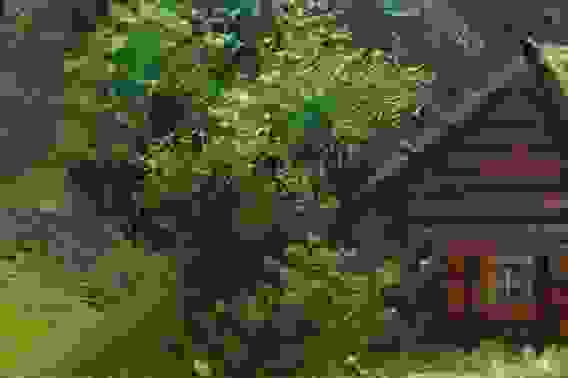 Картина маслом "Деревенский пейзаж"