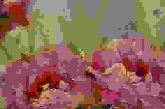 Картина маслом "Букет с пионами"