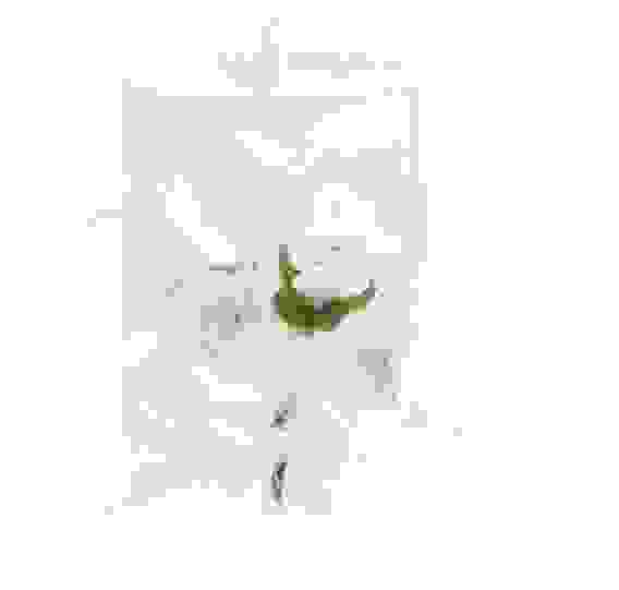 Свеча декоративная Win Max "Свадебная", 10 см