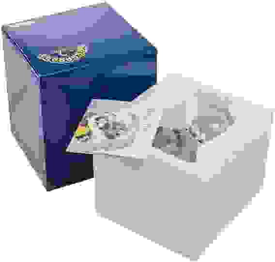 Копилка Pavone "Носорог"