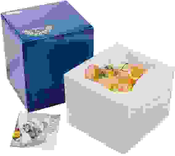 Копилка Pavone "Медвежонок"