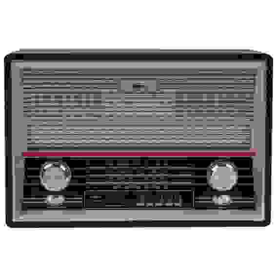 Радиоприемник Ritmix RPR-101 Black