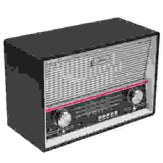 Радиоприемник Ritmix RPR-101 Black